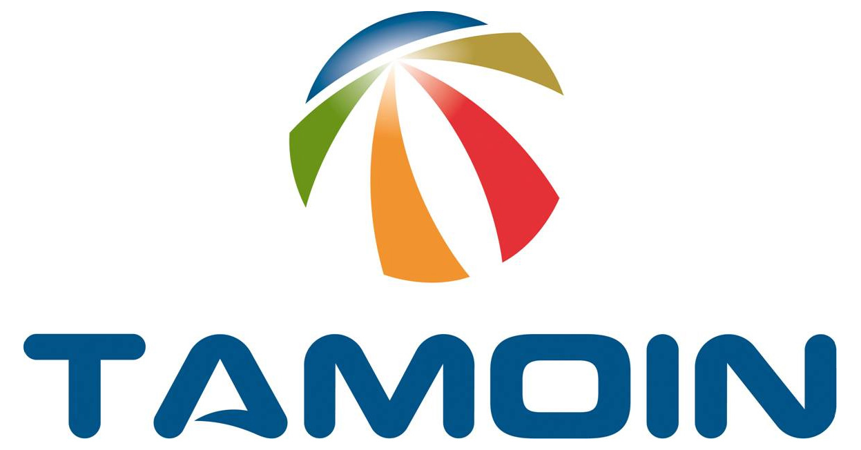 Tamoin